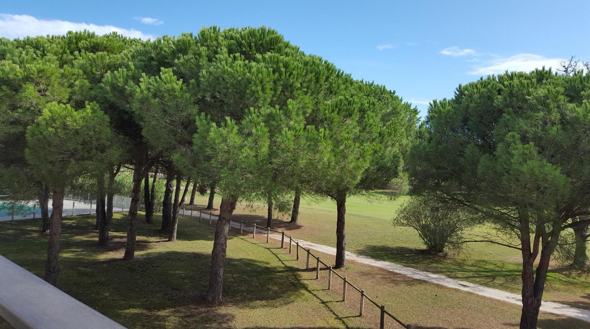 Vert Paradis - Vue Apaisante Sur Golf, Pins Parasols, 2E Etage - 80 M2 Dont Terrasse Avec Pergola, 2 Chambres, 3Et Iles, 3 Clim, Wifi - Piscine, Parking Et Park A Velos, Ascenseur - En Option Linge, Menage - Pistes Cyclables, Mer A Proximite Saint-Cyprien  Esterno foto